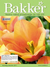 Bakker - Katalog čebulic 2011